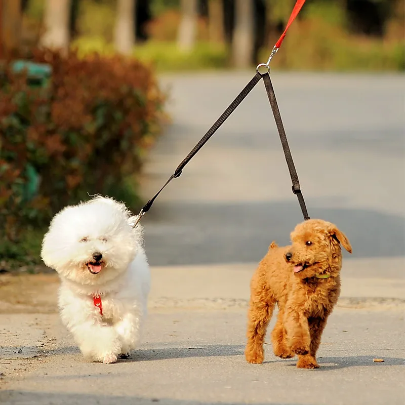 Outdoor Walking Two Dogs Leash - Retractable Dog Leash incelemesi ve fiyatı