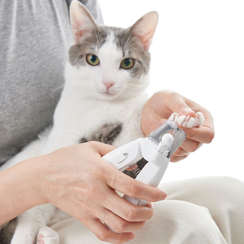 PETKIT Hair Cutting Machine Do - Pet Supplies Grooming Hours incelemesi ve fiyatı