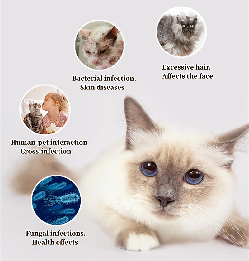 Cat Comb Dog Hair Remover Brus - Pet Supplies Grooming Hours incelemesi ve fiyatı