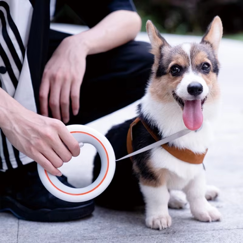 Moestar UFO 개폐식 가죽 끈 2 라이트 금속  - Retractable Dog Leash incelemesi ve fiyatı
