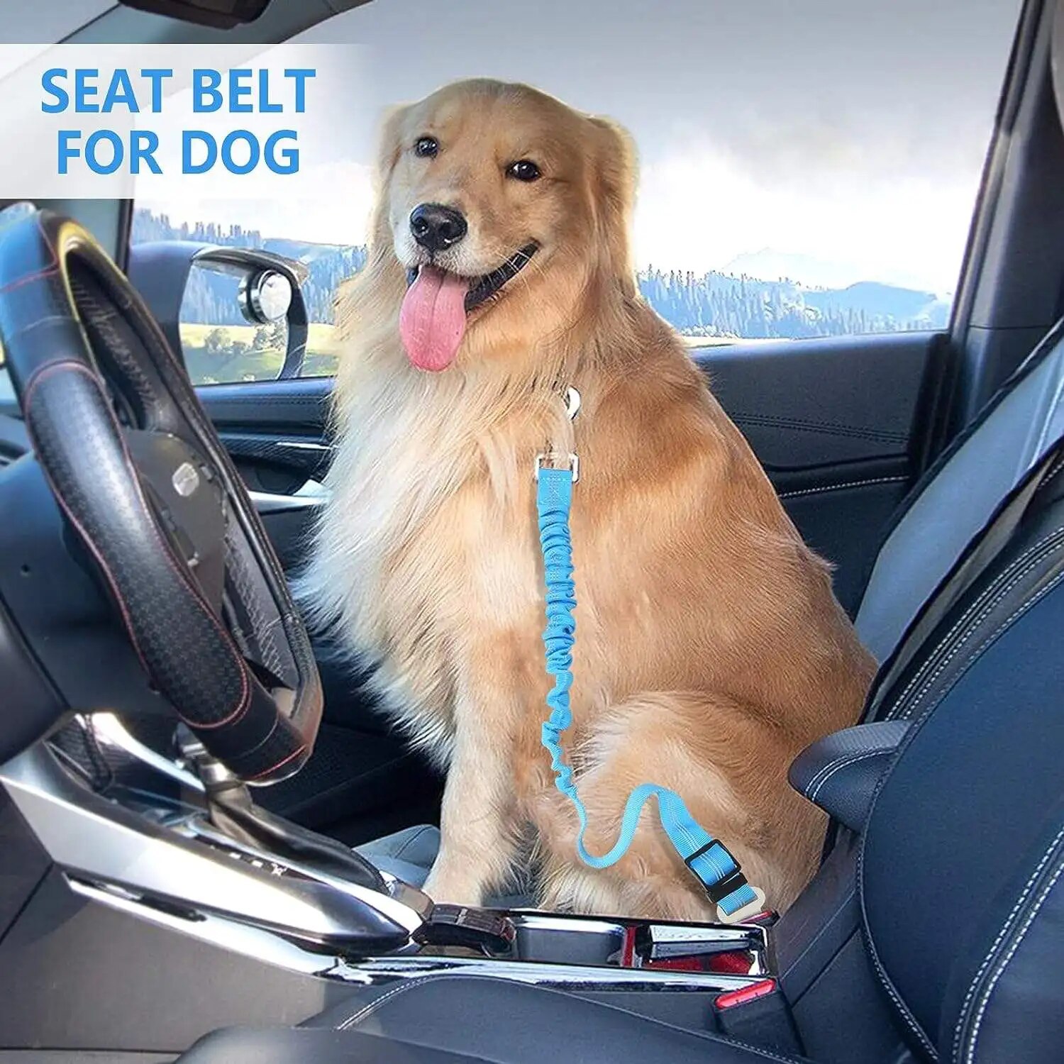 1PCS High Grade Dog Car Safety - Retractable Dog Leash incelemesi ve fiyatı