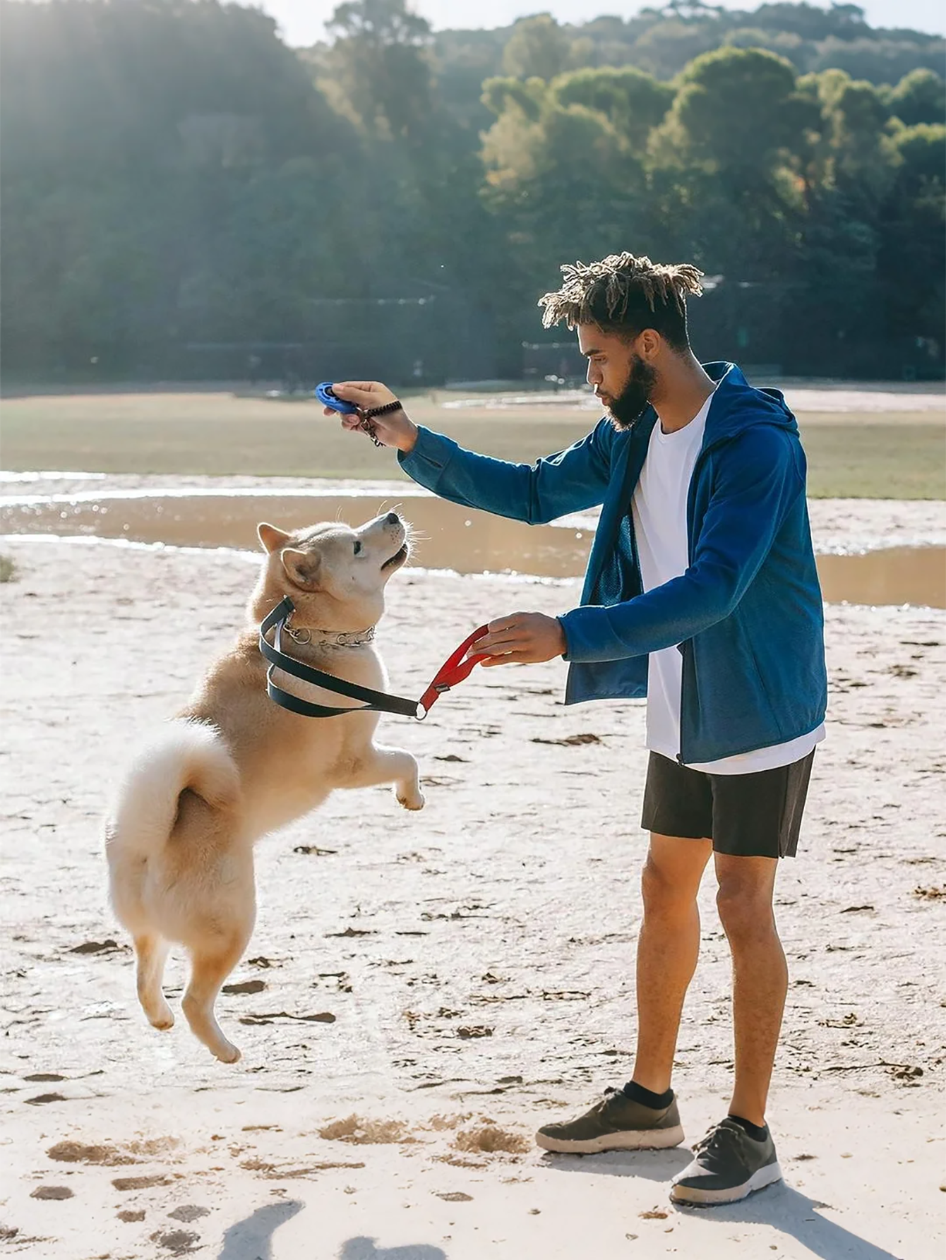 Dog Training Clicker with Wris - Retractable Dog Leash incelemesi ve fiyatı