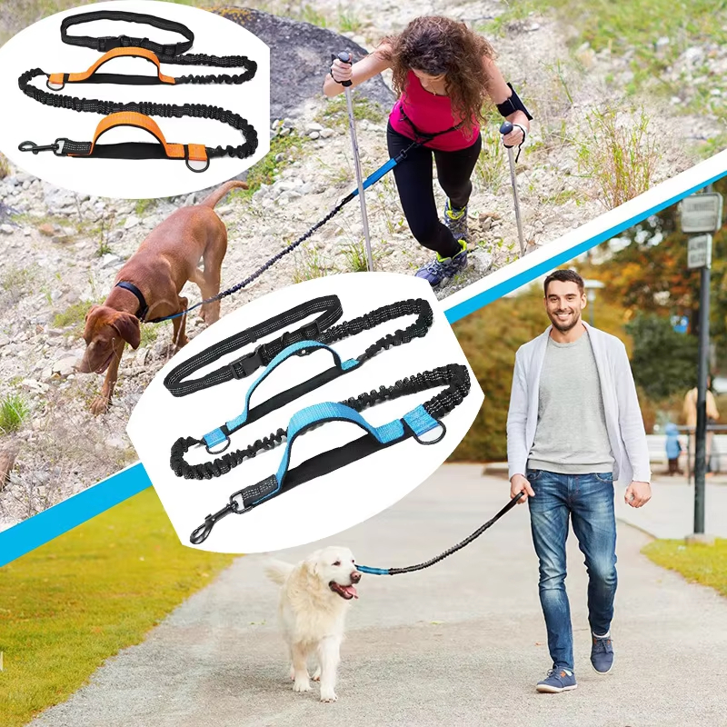 Double elastic reflective runn - Retractable Dog Leash incelemesi ve fiyatı