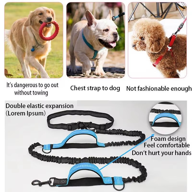 Double elastic reflective runn - Retractable Dog Leash incelemesi ve fiyatı