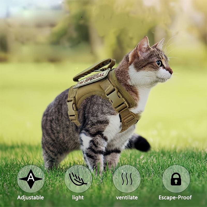 Breathable Tactical Pet Harnes - Retractable Dog Leash incelemesi ve fiyatı