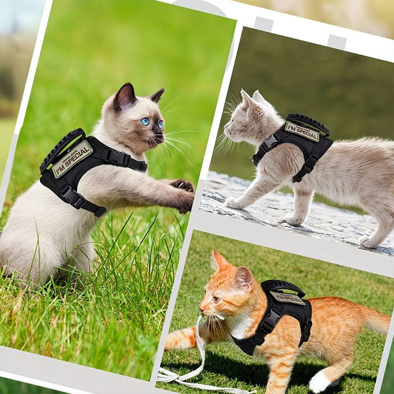 Breathable Tactical Pet Harnes - Retractable Dog Leash incelemesi ve fiyatı