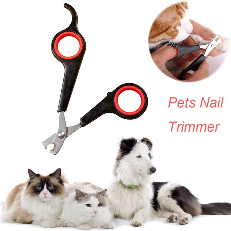 Dog Nail Clippers Professional - Pet Supplies Nail Trim incelemesi ve fiyatı