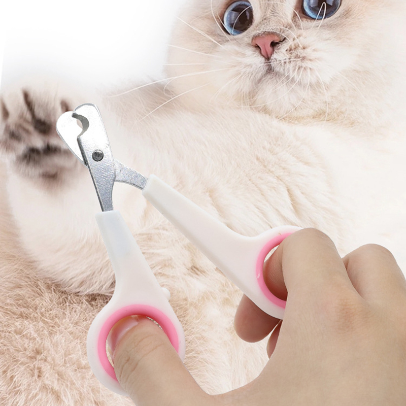 Dog Nail Clippers Professional - Pet Supplies Nail Trim incelemesi ve fiyatı