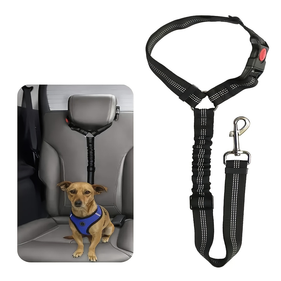 Elastic Retractable Seat Belt  - Retractable Dog Leash incelemesi ve fiyatı