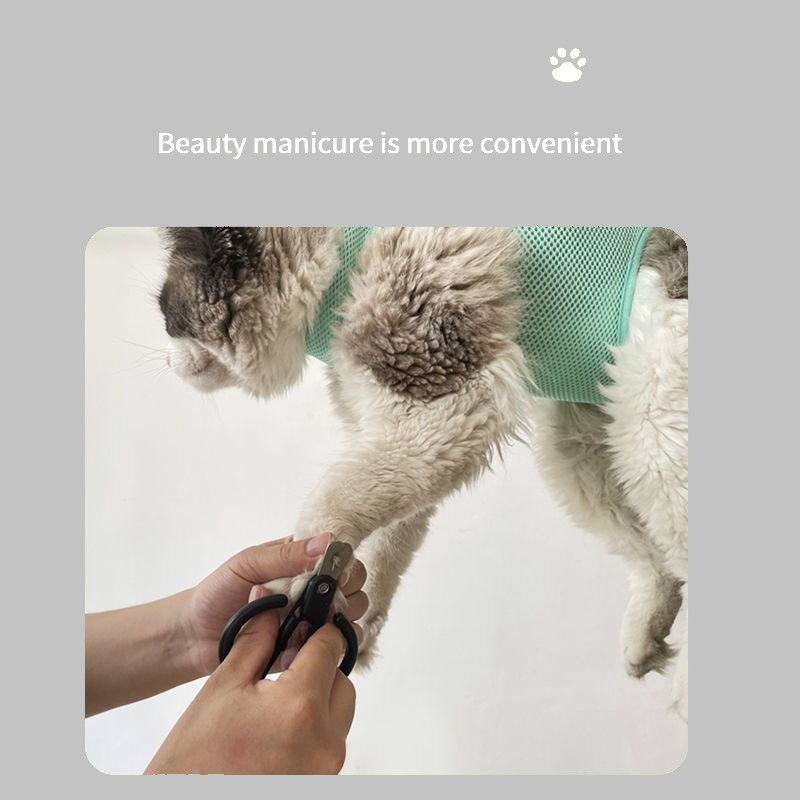 Cat Grooming nail cutting anti - Pet Supplies Nail Trim incelemesi ve fiyatı