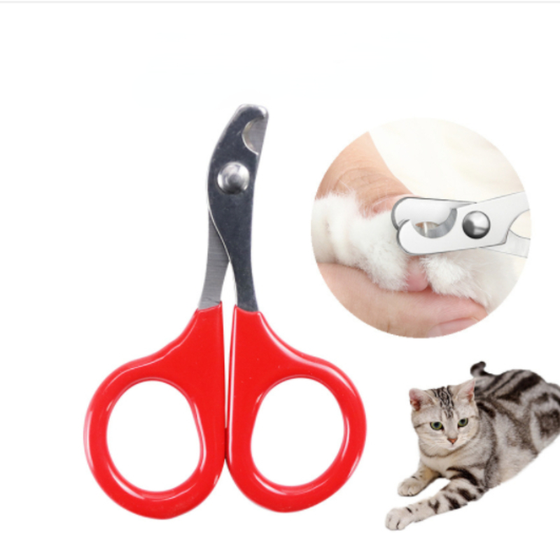 Cat nail clippers for Small Do - Pet Supplies Nail Trim incelemesi ve fiyatı