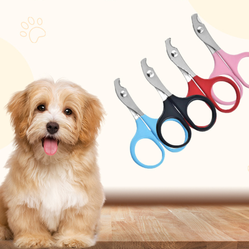 Cat nail clippers for Small Do - Pet Supplies Nail Trim incelemesi ve fiyatı