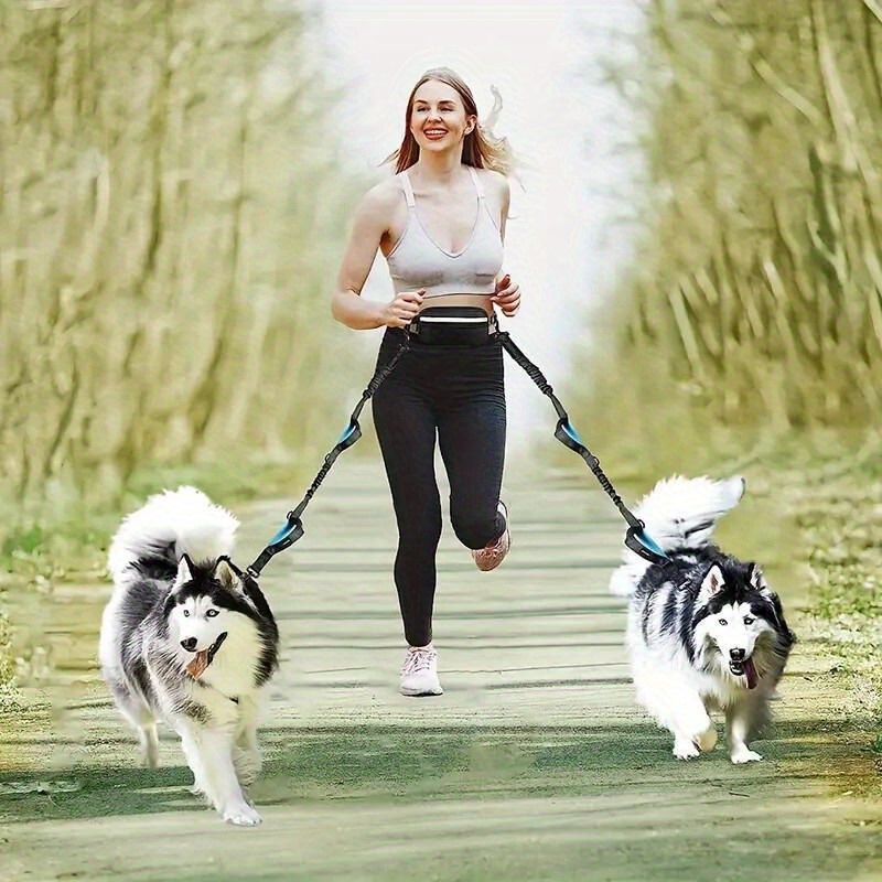 Adjustable Hands-Free Dog Runn - Retractable Dog Leash incelemesi ve fiyatı