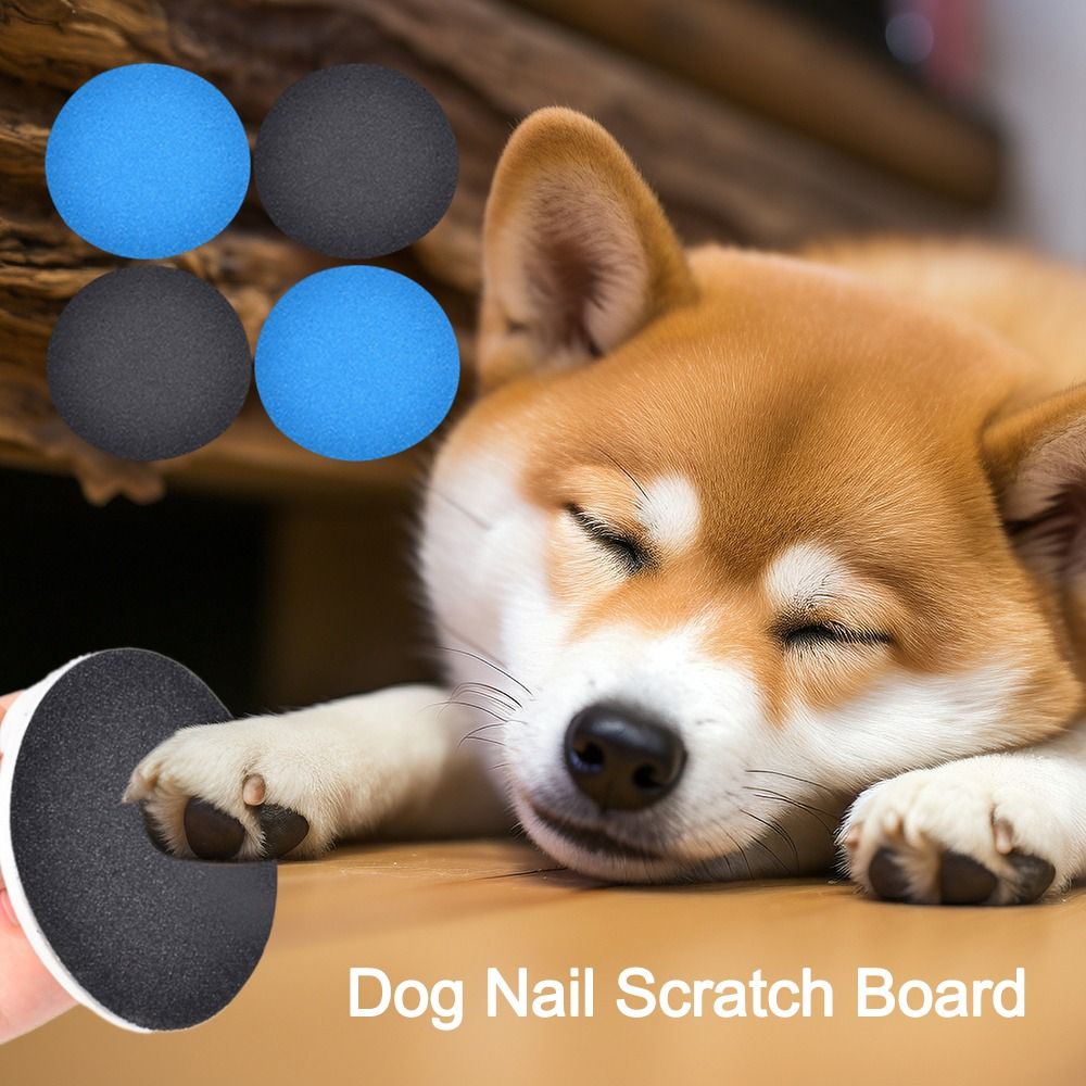 Replacement Pet Supplies Dog N - Pet Supplies Nail Trim incelemesi ve fiyatı