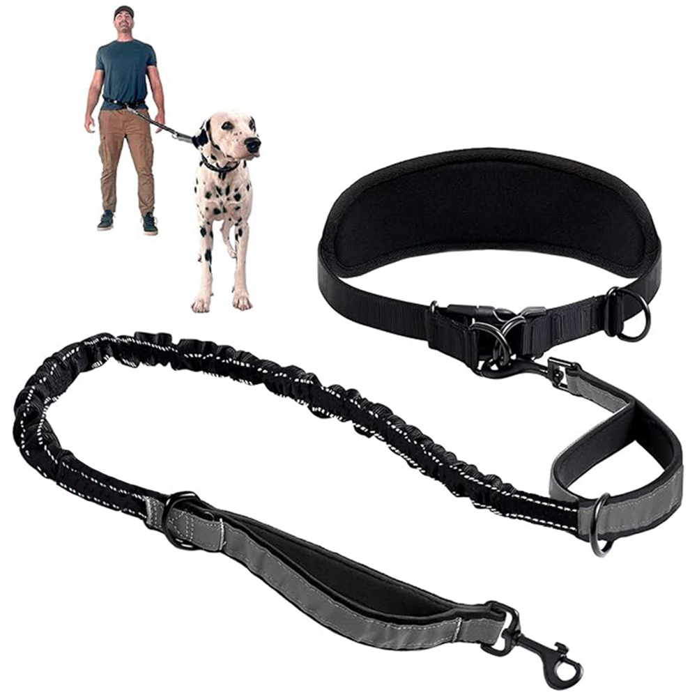 Hands Free Dog Leash Dog Waist - Retractable Dog Leash incelemesi ve fiyatı