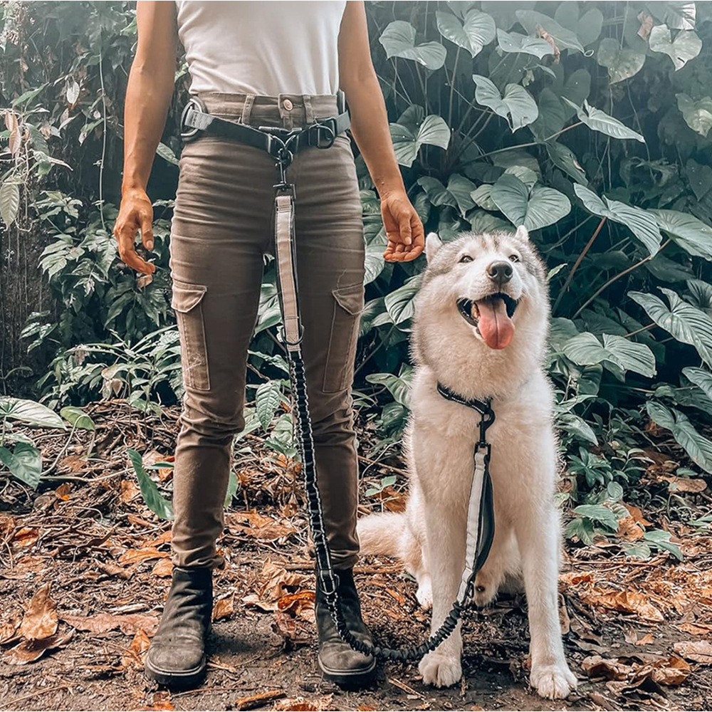 Hands Free Dog Leash Dog Waist - Retractable Dog Leash incelemesi ve fiyatı